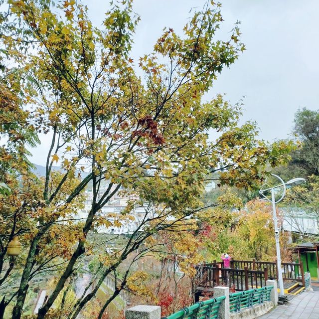 有歷史意義的梨山賓館