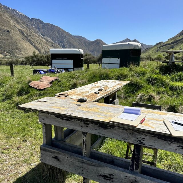 NZ 南島 皇后鎮 Moke Lake 營地旁 騎馬體驗