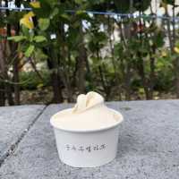 강릉 초당순두부마을 순두부맛집🤍초당소나무집🤍