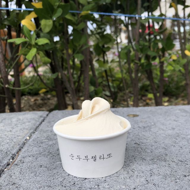 강릉 초당순두부마을 순두부맛집🤍초당소나무집🤍