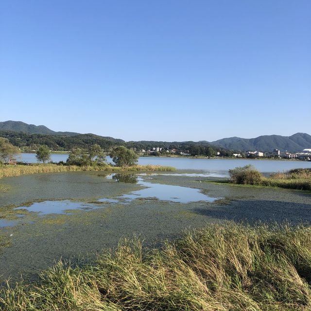 [남양주 힐링코스]물의정원💦&북한강뷰 맛집🌉