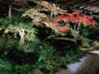 京都[紅葉めぐり]   幻の紅葉　瑠璃光院