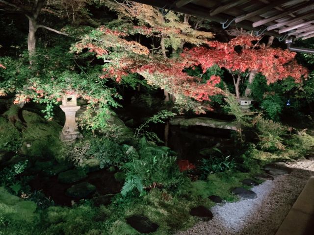 京都[紅葉めぐり]   幻の紅葉　瑠璃光院