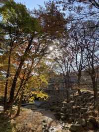 단풍이 아름다운 동화사 🍁🍂
