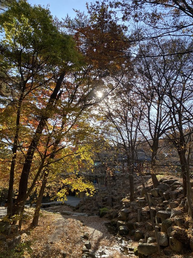 단풍이 아름다운 동화사 🍁🍂