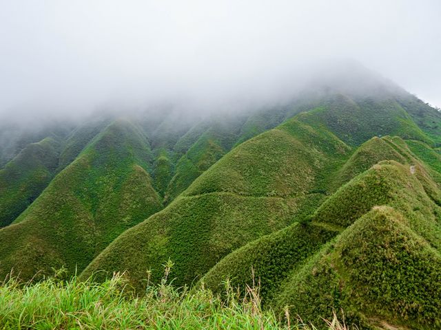 礁溪｜抹茶山 聖母登山步道 朝聖之旅 