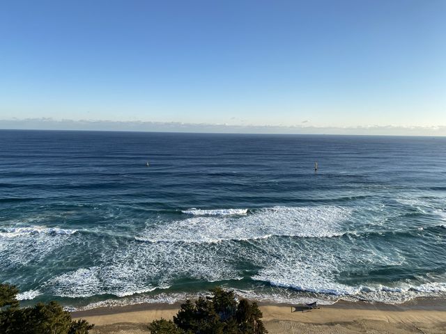 삼척ㅣ모든 방에서 바다가 보이는 동해 바다뷰 맛집, 삼척 쏠비치 🌊