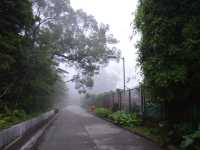 NgongPing Cable Car and Village