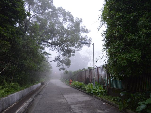 NgongPing Cable Car and Village