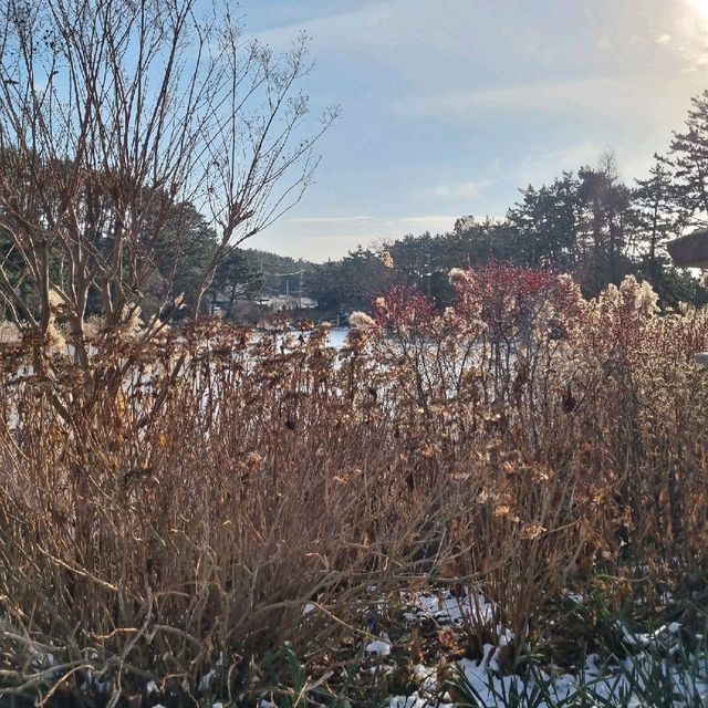 봄이 되면 다시 갈게요 : 천리포 수목원
