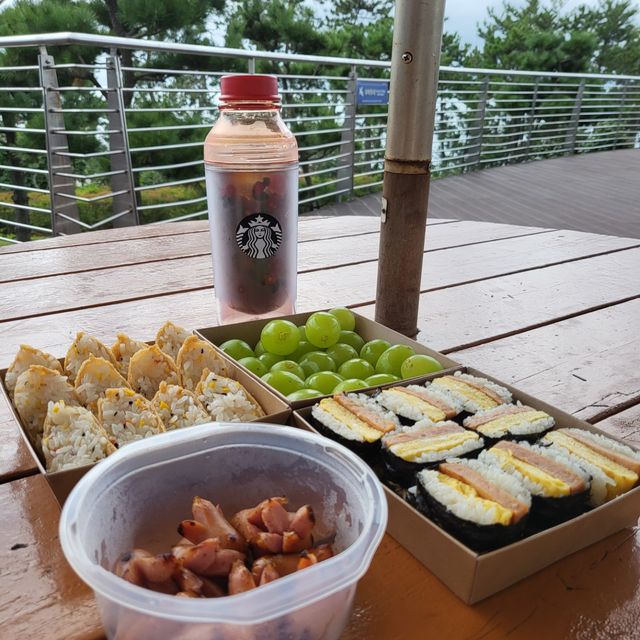 [울산 중구] 한적하고 고즈넉하게 여유를 즐길 수 있는, 정말 아름다운 공원🌳