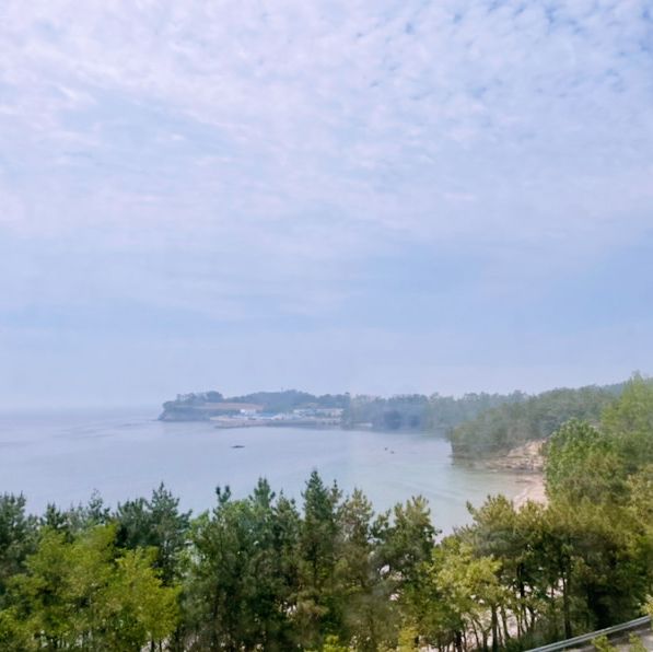 변산 대명리조트 후기 #변산여행 #대명리조트 #채석강 #데이지