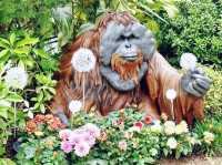 香港動植物公園