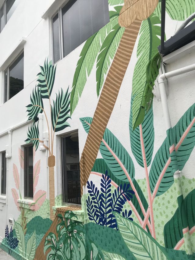 迷上索罟灣