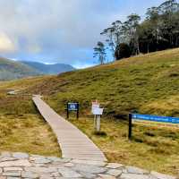 Trek to the foot of Cradle Mountain, Tasmania