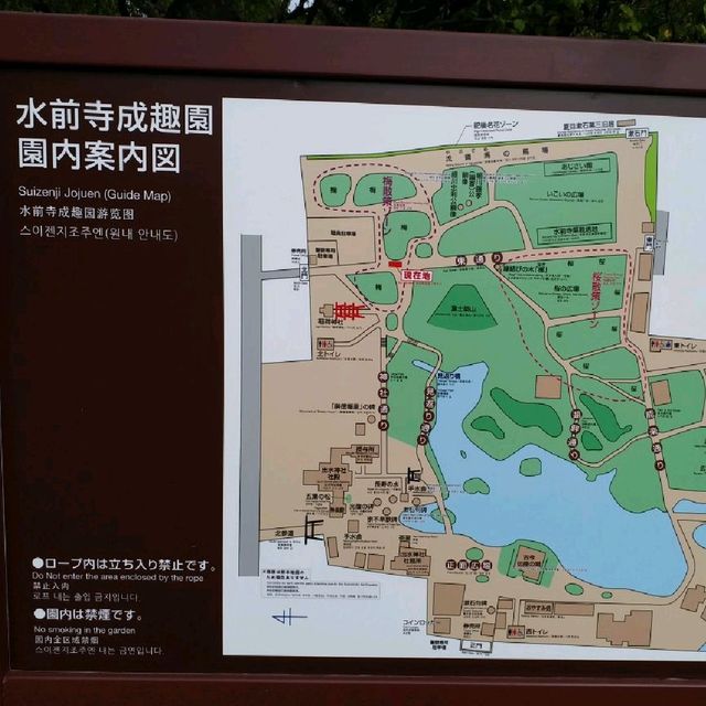 綠悠悠的公園🌳🌳🌳