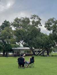 𝑺𝑶𝒀𝑶𝑼 𝑯𝑶𝑼𝑺𝑬 𝑪𝒂𝒇𝒆. 🍃🧃🌳