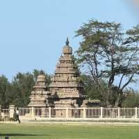 Explore the place of worship @ Shore Temple