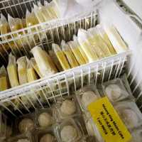 One Of The Best Durian In KL