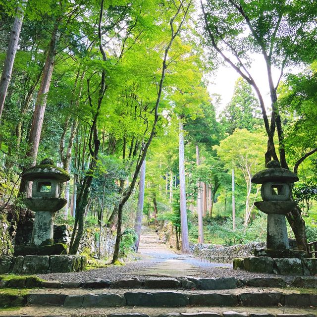 【京都】紅葉の名所である世界遺産