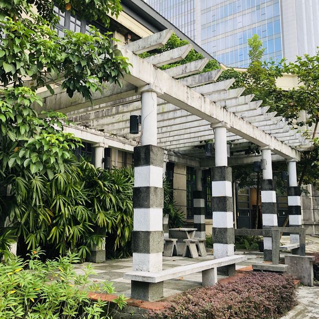 綠意盎然🌳🌿松山文創園區 Songshan Cultural and Creative Park