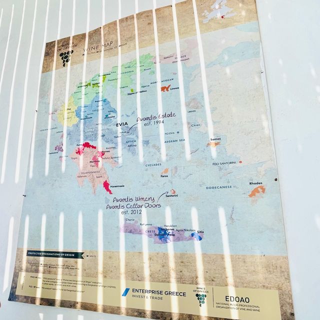 【サントリーニ島】ワイン好き必見👀ギリシャワインを楽しみたい方向け🍷