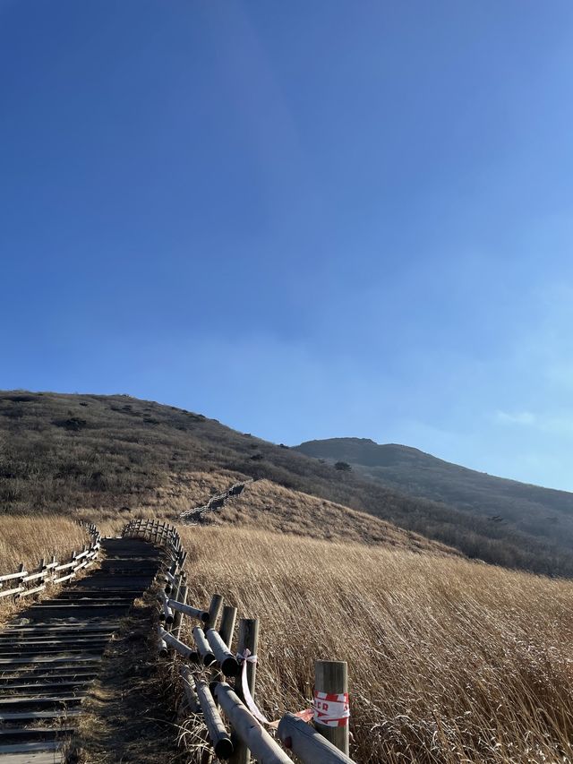 [울산]지금 완전 핫한 간월재 피크닉❣️