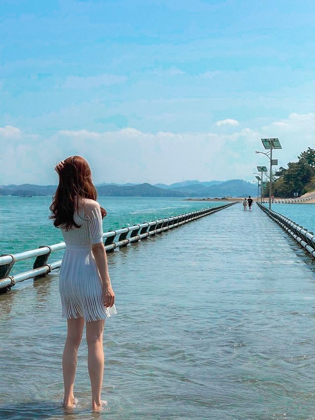 서산 당일치기 여행 여기 어때??