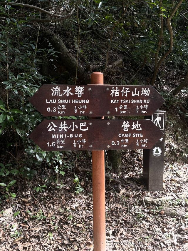 流水響水塘-行山新手也能輕鬆完成的路線