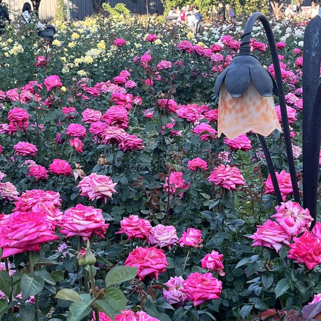 한국의 하이드파크 “올림픽공원”🌳