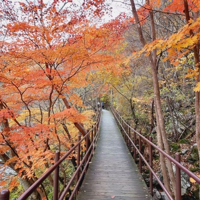 Colours of Baemsangol at Jirisan during Fall