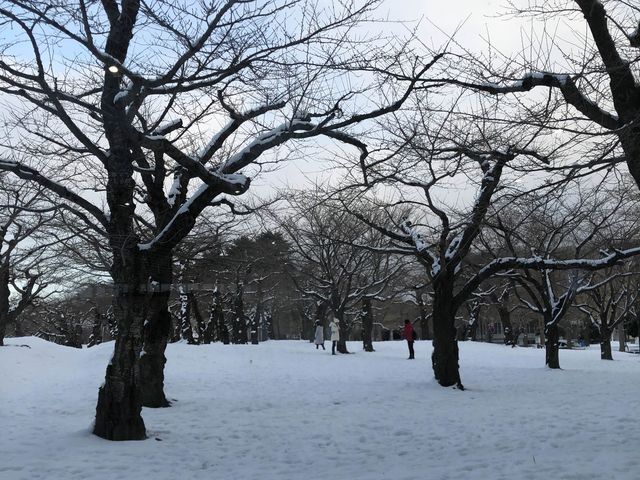 มาชิลชมวิวสวนมุมสูงจาก Goryokaku Tower