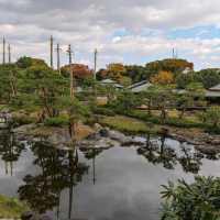 Nagoya's Hidden gem, a garden!