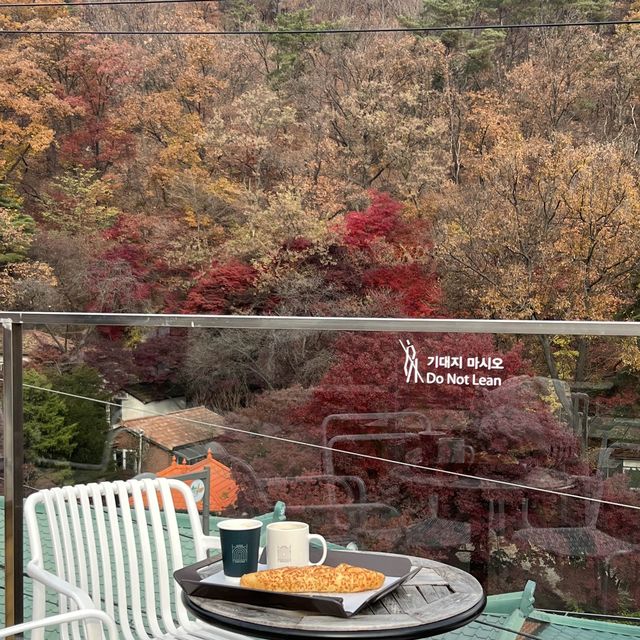 韓国/ｿｳﾙ  紅葉が見られるベーカリーカフェ🥖🍞🥐🍁