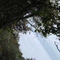 這裡是苗栗加里山