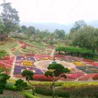 ชมดอกไม้.. ที่สวนแม่ฟ้าหลวง​