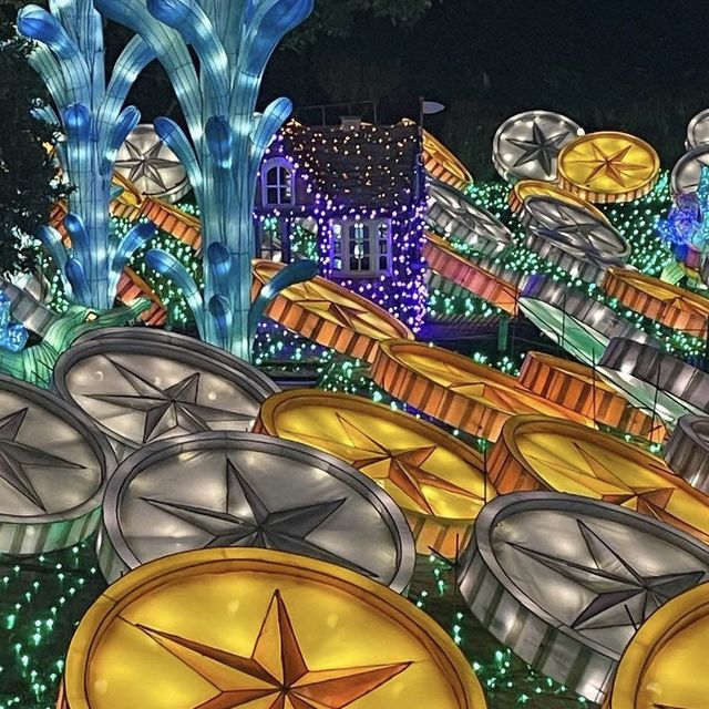 幻想的で煌びやかなイルミネーション✨✨