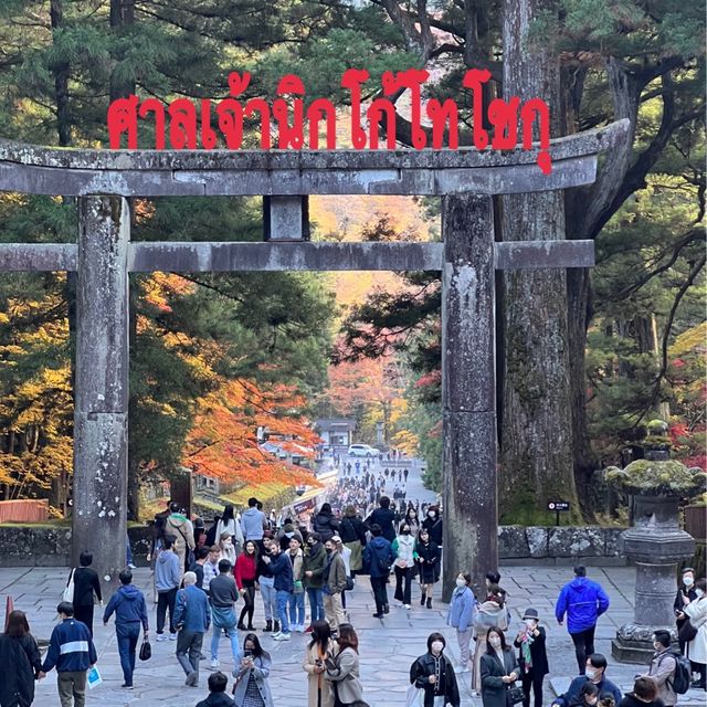 ศาลเจ้านิกโก้โทโชกุ⛩️