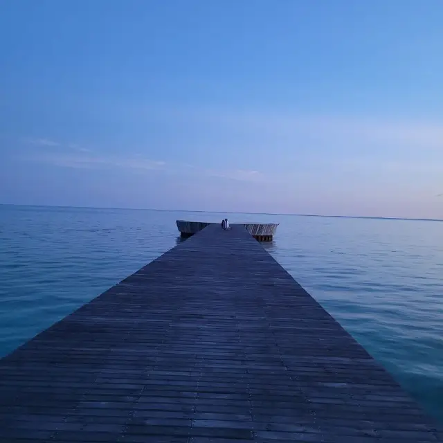 RESET your MInd with vitamin-Sea…..