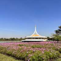 เดินเที่ยวชมสวน ที่สวนหลวงร.9