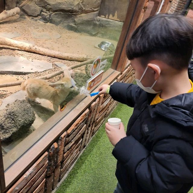 동물원이 너무 추울 땐 캐니언파크 평택점