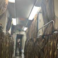 Trip Jungle Train In Malaysia 
