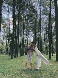 ใครไม่สน เราสน 🌲🌲