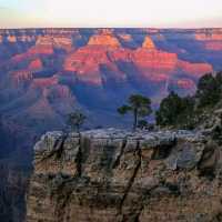 Grand  Canyon