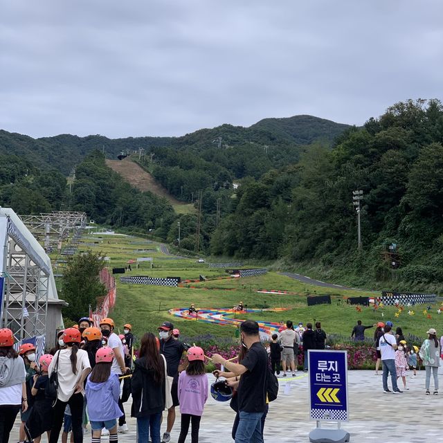 포천 액티비티 추천 :: 루지월드 베어스타운점🏎