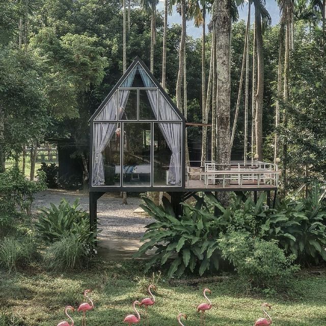 Copter Chill Resort by Lyn Cafe นครศรีธรรมราช