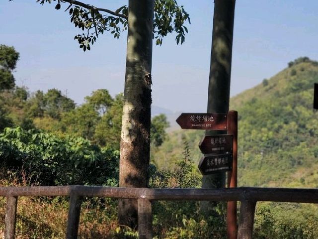 流水響 。鶴藪水塘 🍂適合行⛰️BB級 流水響 。鶴藪水塘 🍂適合行⛰️BB級