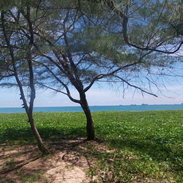 หาดแสงจันทร์
