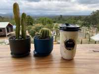 549 Resort & Cafe’