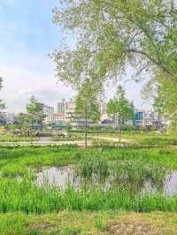가볍게 산책하기 좋은 #태화강국가정원 🌿 